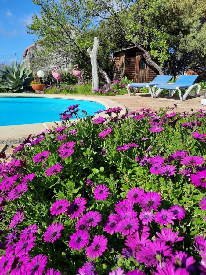 엘파소 Casita Miramar 아파트 외부 사진